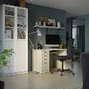 billy-oxberg-bookcase-with-panel-glass-doors-white__1033626_pe837361_s5.webp