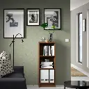 billy-bookcase-brown-walnut-effect__1104300_pe867589_s5.webp