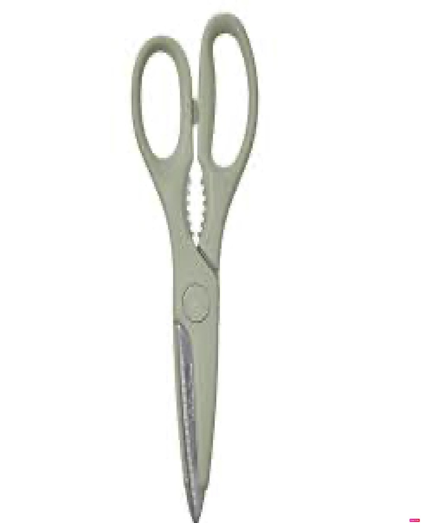 Trojka ногоон хайч