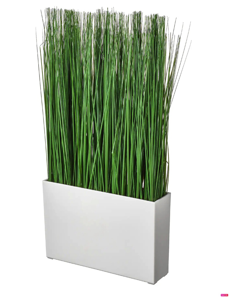 Fejka цагаан ваартай цэцэг