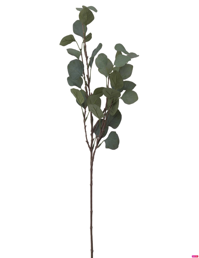 Smycka мөчиртэй навч