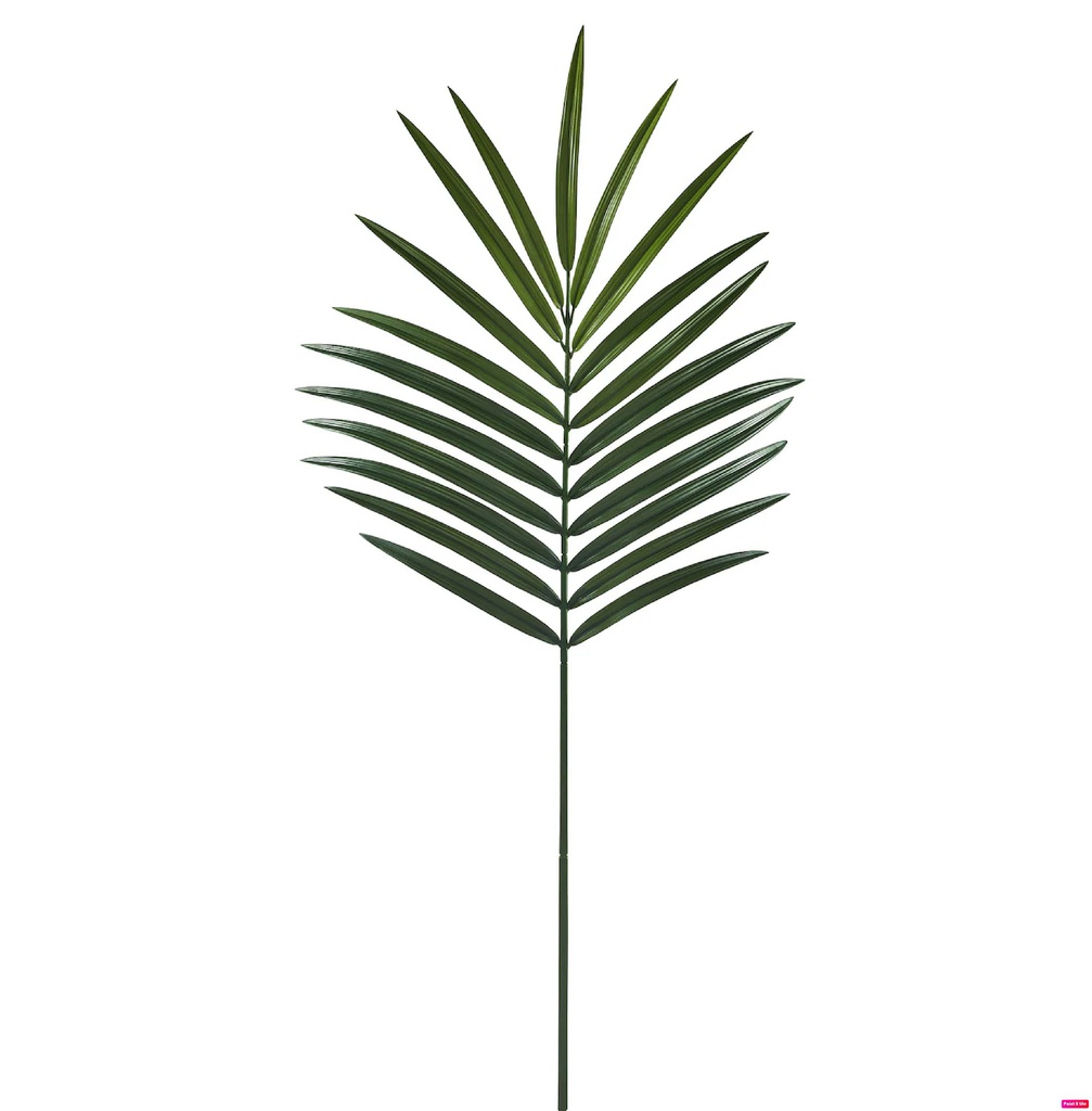 Smycka ногоон навч