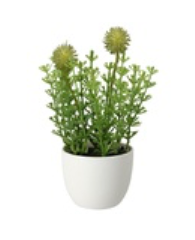 Fejka 6см бөмбөгтөй жижиг цэцэг