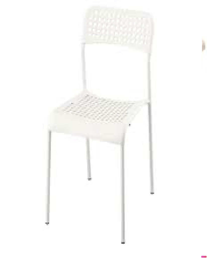 Sandsberg нүхтэй цагаан сандал