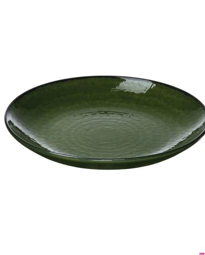 [606.089.48] Pelarkaktus 20см ногоон таваг